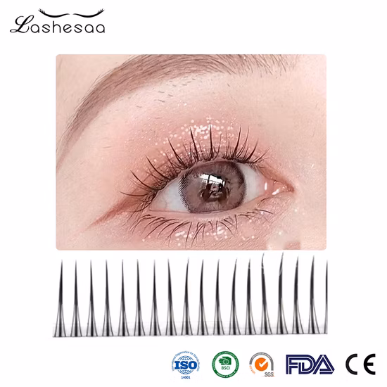 Hot Selling Soft Ellipse Flat Eyelash Extensions Cashmere Flat Lashes Extensions Flat False Lashes